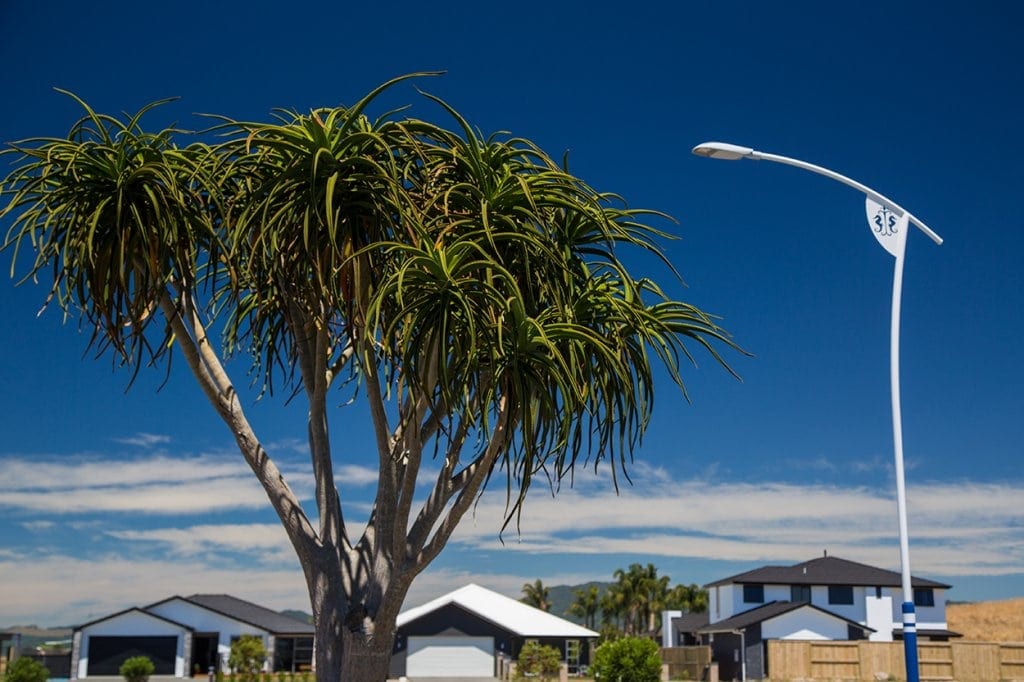 sections for sale in Tauranga